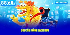 soi cầu bạch kim