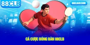 cá cược bóng bàn