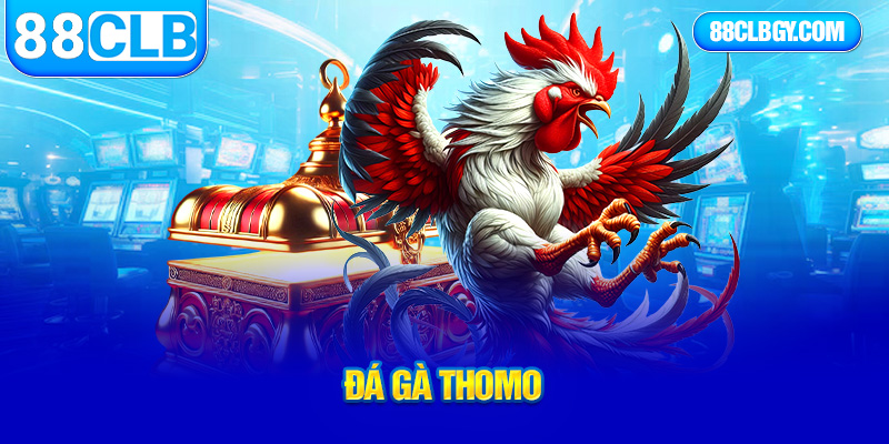 đá gà thomo