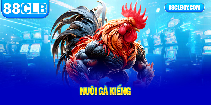nuôi gà kiểng