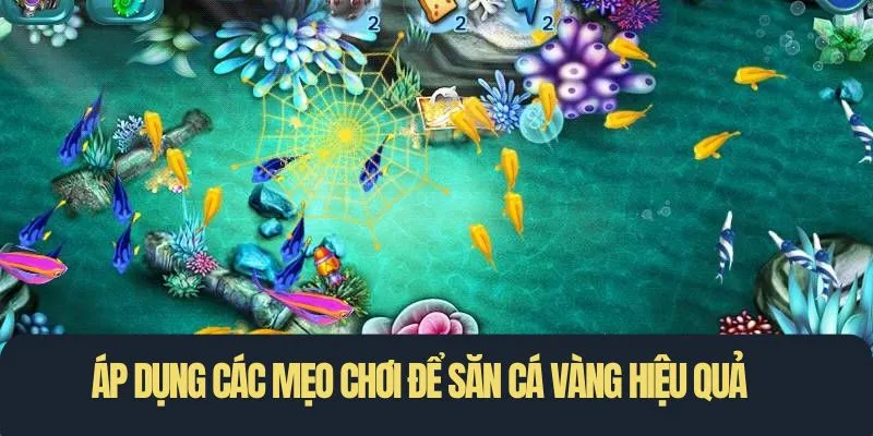 88CLB là địa chỉ lý tưởng để chơi game săn cá vàng