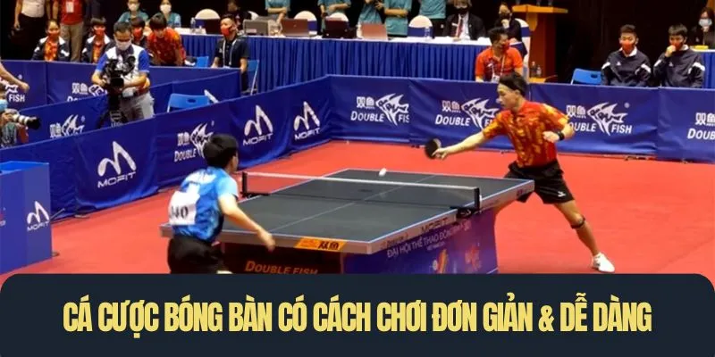 Cá cược bóng bàn có cách chơi đơn giản & dễ dàng