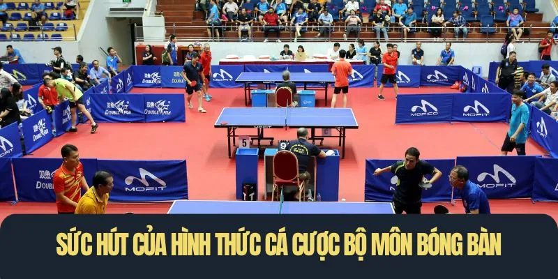 Sức hút của hình thức cá cược bộ môn bóng bàn