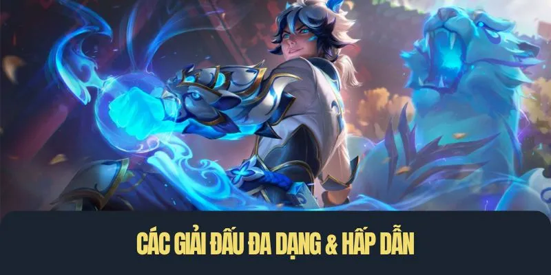 Các giải đấu đa dạng & hấp dẫn