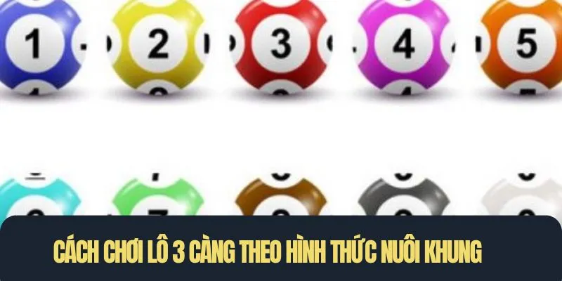 Cách chơi lô 3 càng theo hình thức nuôi khung là lựa chọn phổ biến
