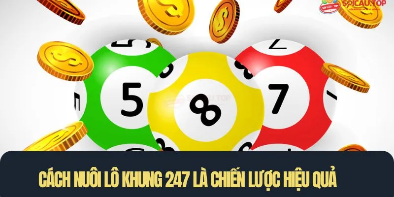 Cách nuôi lô khung 247 là chiến lược hiệu quả trong thế giới số học