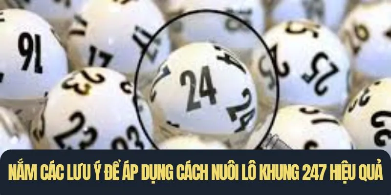 Nắm các lưu ý để áp dụng cách nuôi lô khung 247 hiệu quả