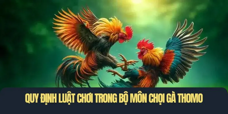Quy định luật chơi trong bộ môn chọi gà Thomo