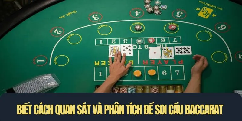 Biết cách quan sát và phân tích sẽ soi cầu Baccarat thành công