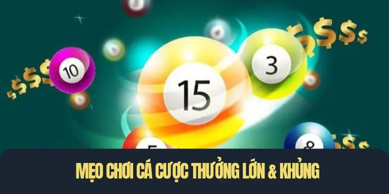 Mẹo chơi cá cược thưởng lớn & khủng